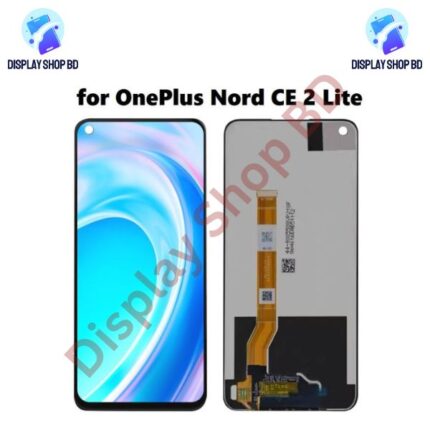 OnePlus Nord CE 2 Lite 5G Display