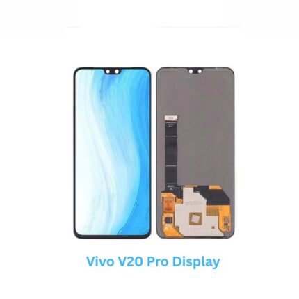 Vivo V20 Pro Display