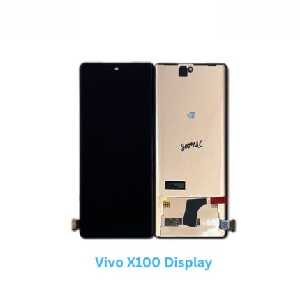Vivo X100 Display
