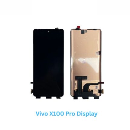 Vivo X100 Pro Display