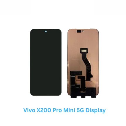 Vivo X200 Pro Mini 5G Display