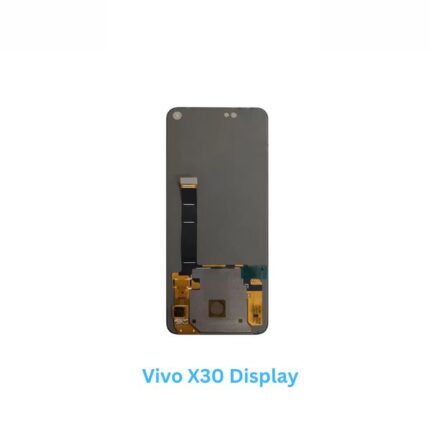 Vivo X30 Display