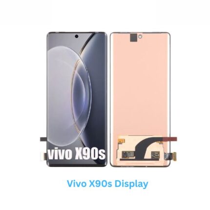 Vivo X90s Display