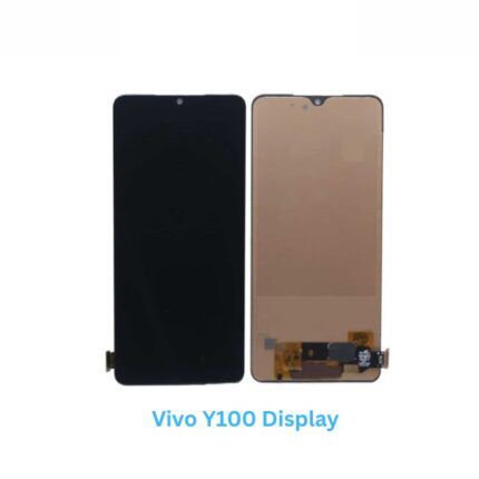 Vivo Y100 Display