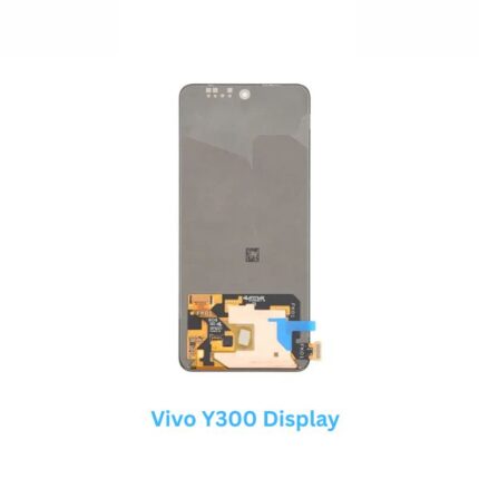 Vivo Y300 Display