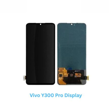 Vivo Y300 Pro Display