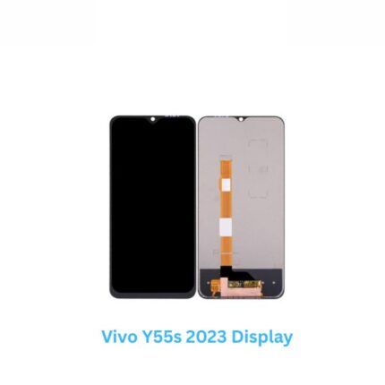 Vivo Y55s 2023 Display