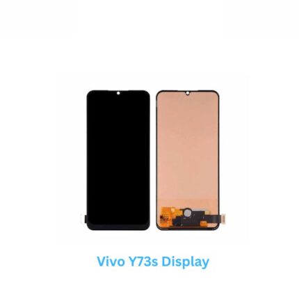 Vivo Y73s Display
