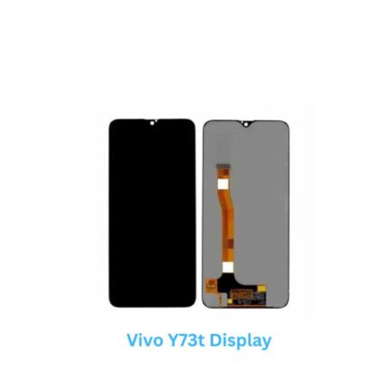 Vivo Y73t Display